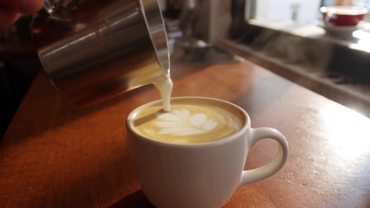 LTX Text-to-Video Prompts: 4 Templates with Real Clips